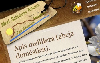 Miel Sabinares del Arlanza Miel Sabinares del Arlanza